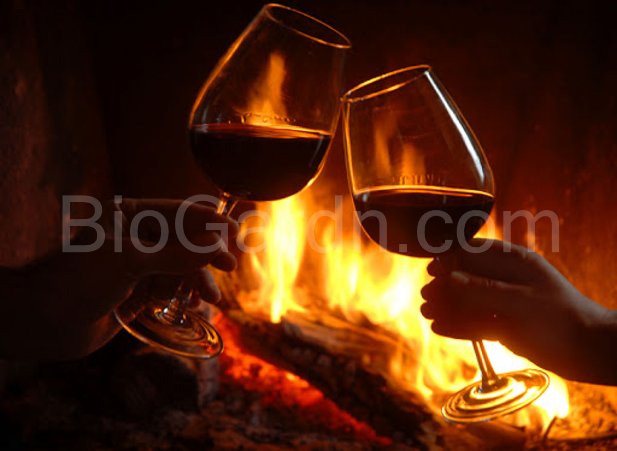 Glasses of wine in a cozy winter setting