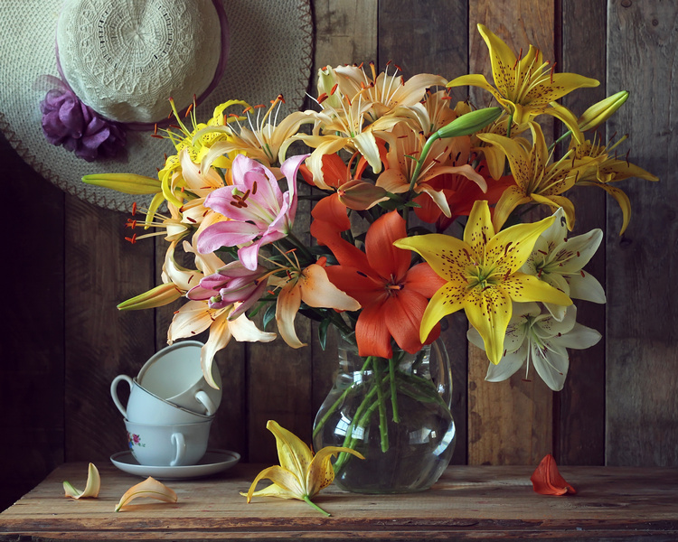 Horizontal photograph of lilies in bloom
