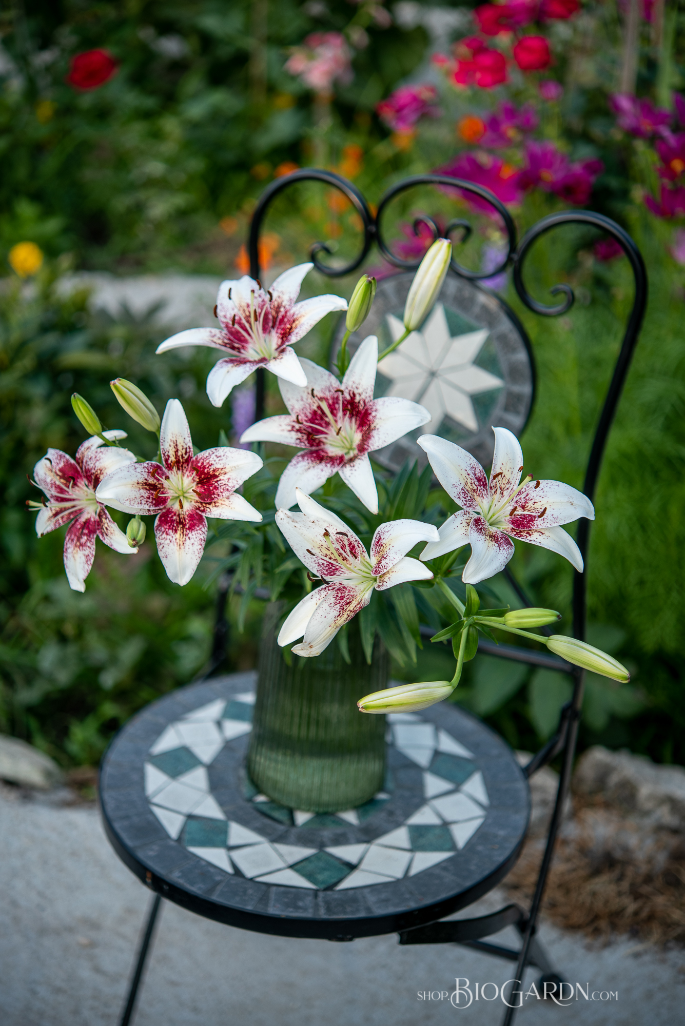 Vertical lily bouquet photographed in the garden