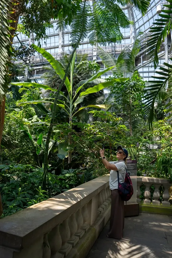 Испански мъх и тропически растения в United States Botanic Garden