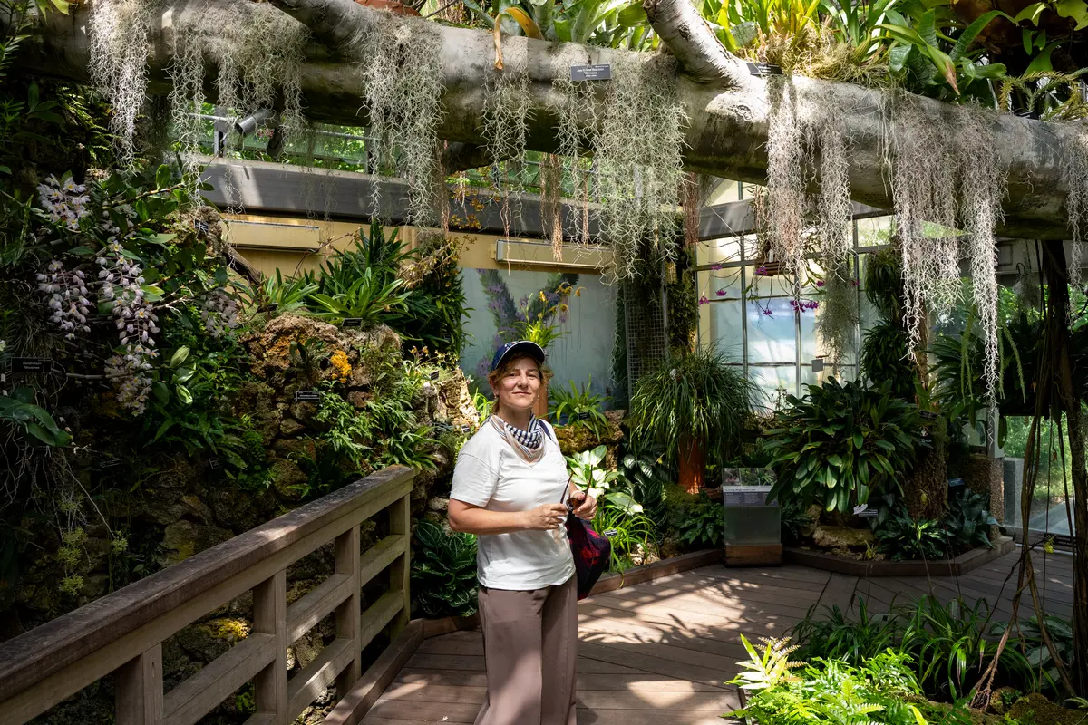Испански мъх и тропически растения в United States Botanic Garden