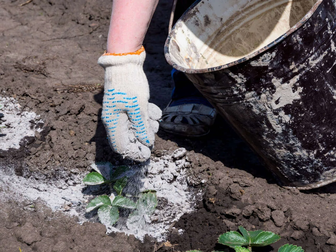 basalt rock dust as a long-term mineral soil amendment