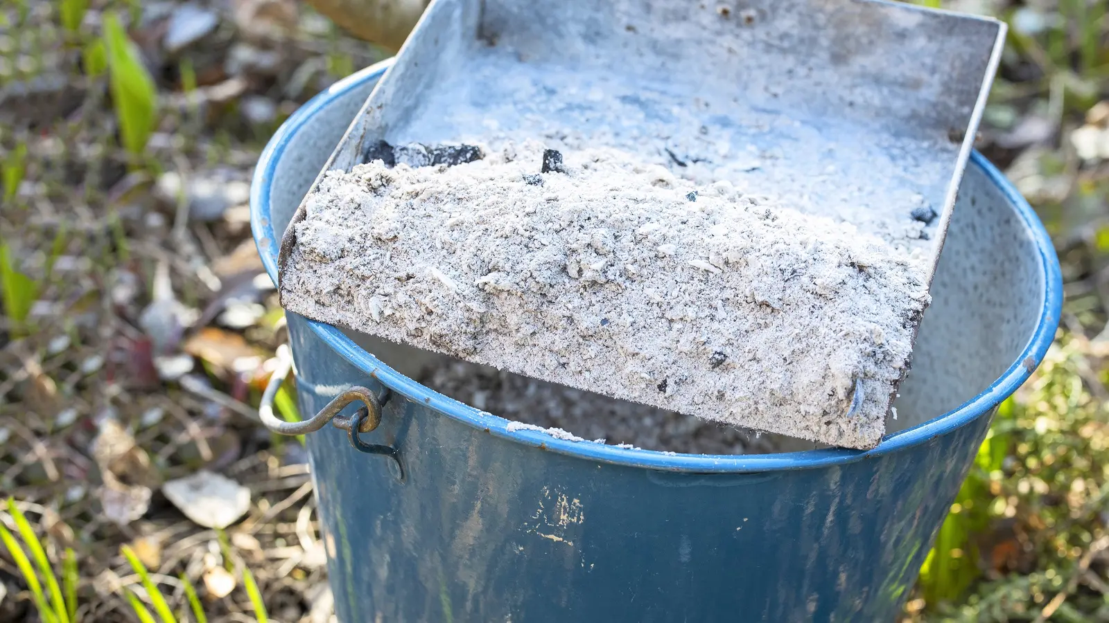 wood ash in the garden