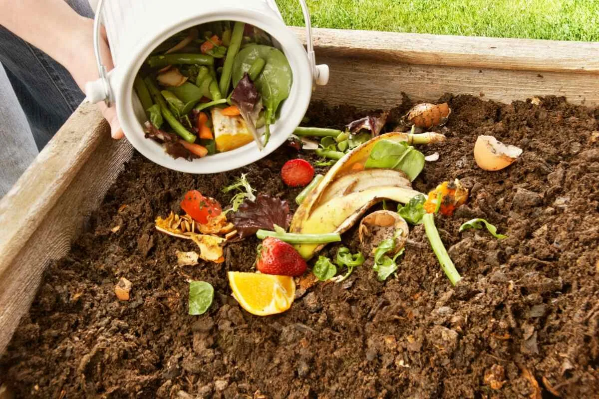 using compost in vegetable garden