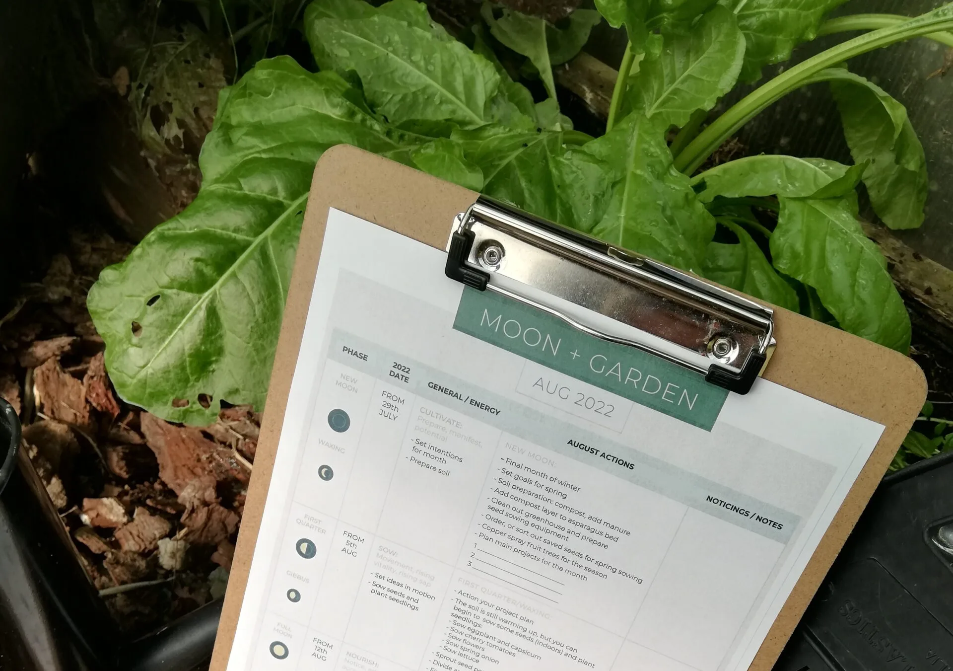lunar calendar and planning garden tasks