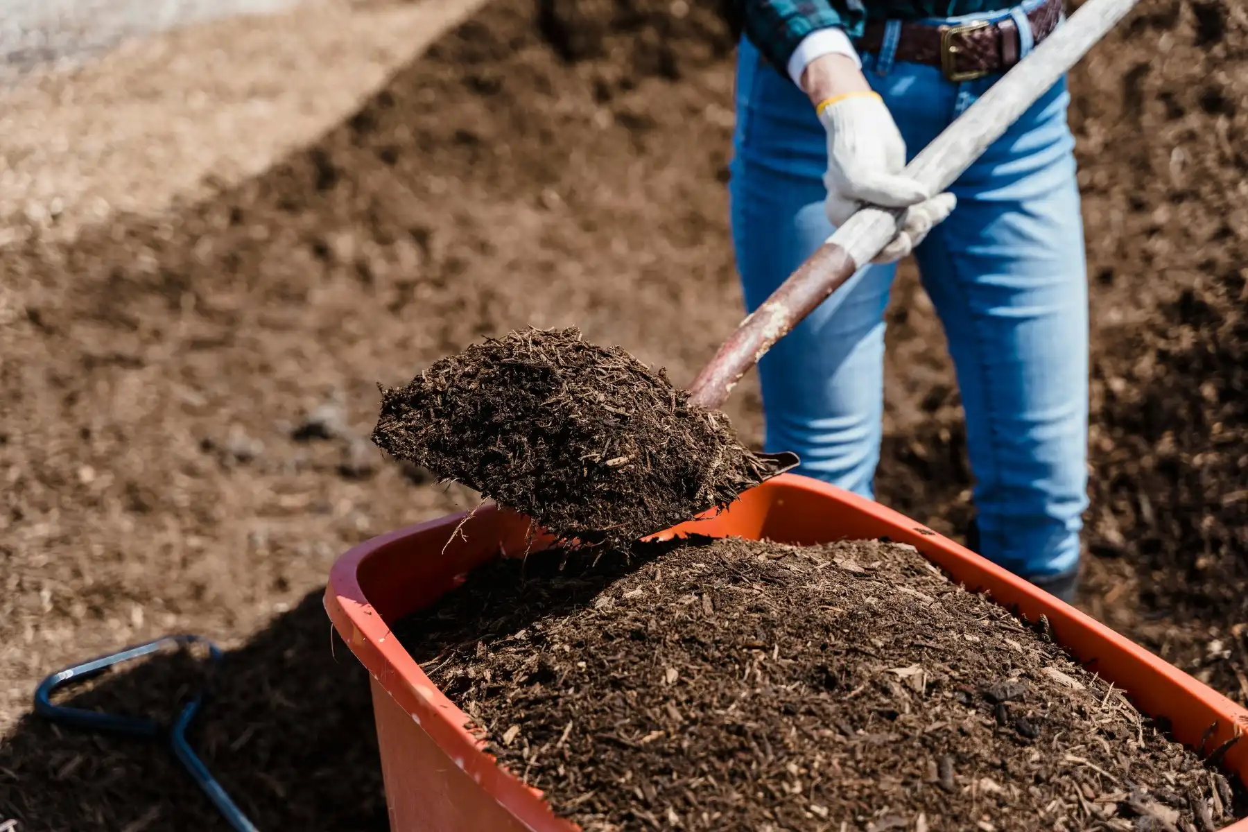 manure being incorporated into soil