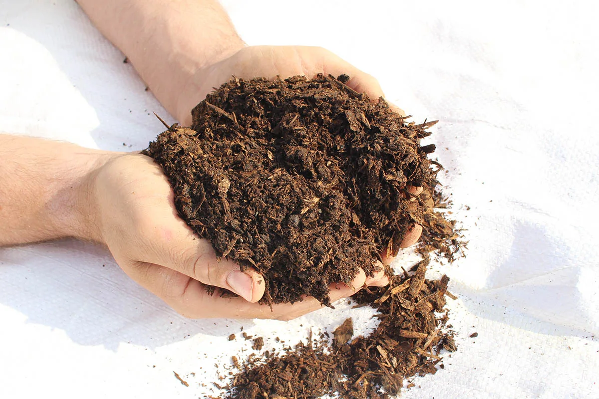 well-rotted manure in garden