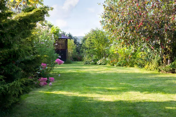 Choosing a location for an orchard in a garden