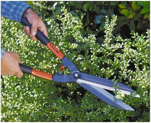 Bahco P51-F hedge shears for pruning European Hornbeam