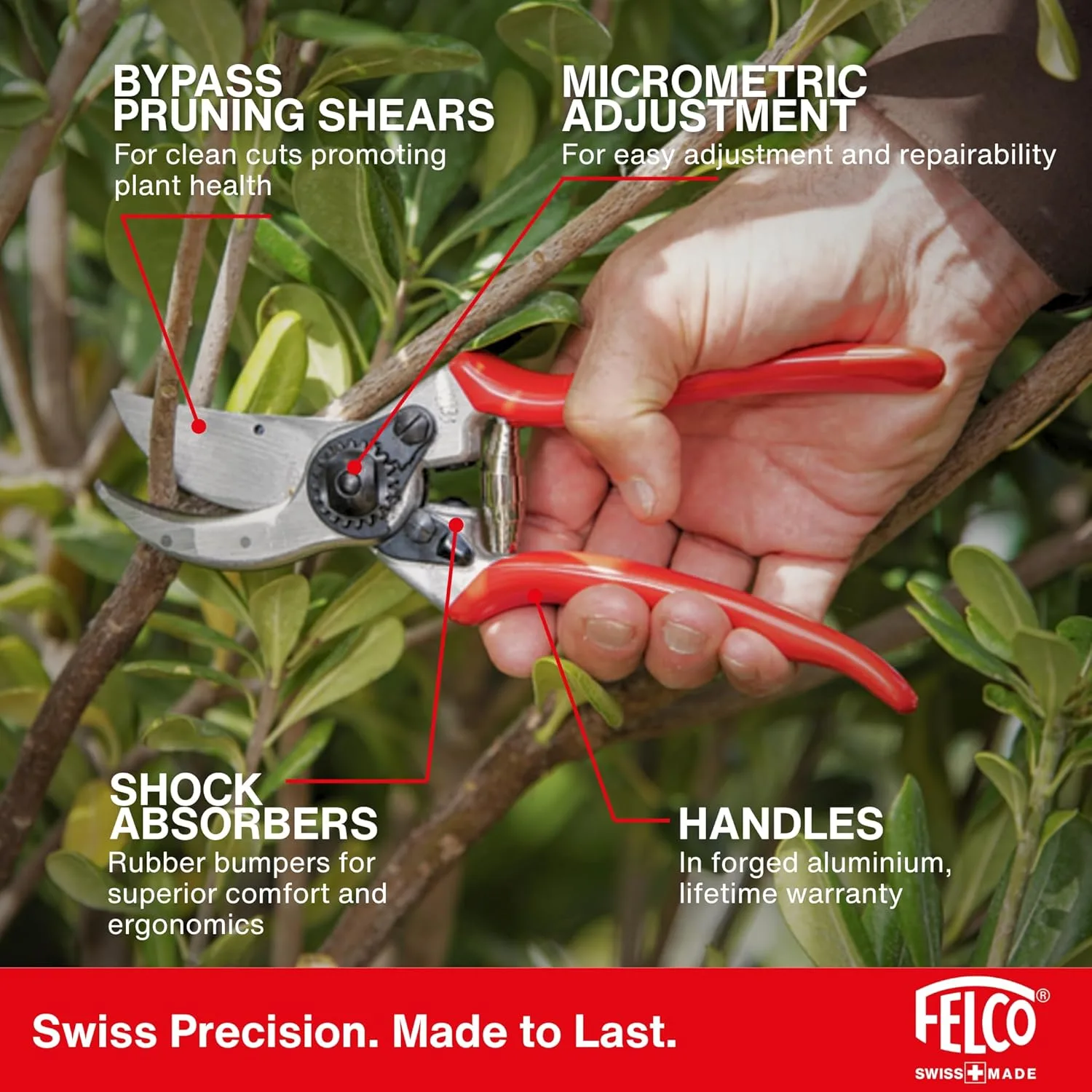 Felco F-2 pruning shears for trimming Cherry Laurel