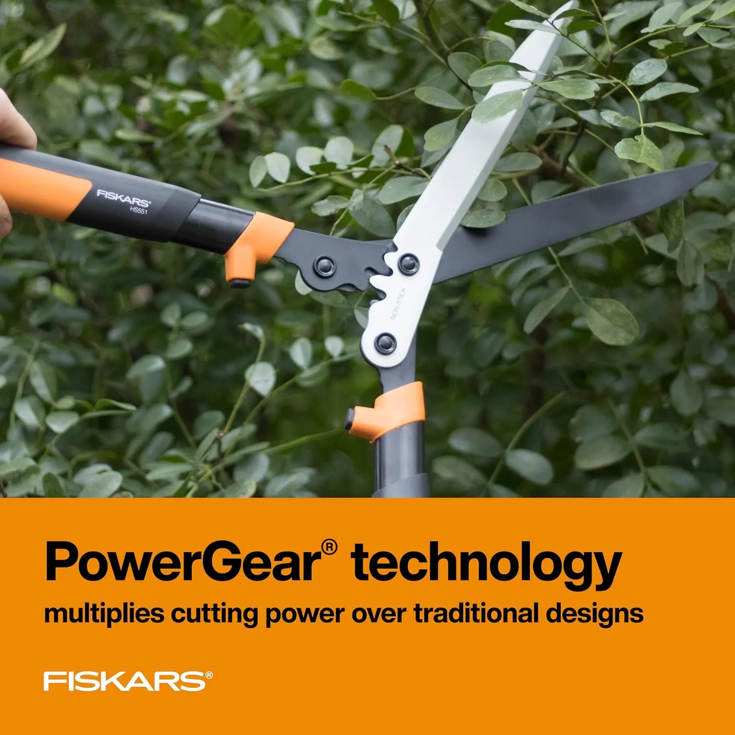 Fiskars PowerGear2 hedge shears for pruning Ligustrum hedges