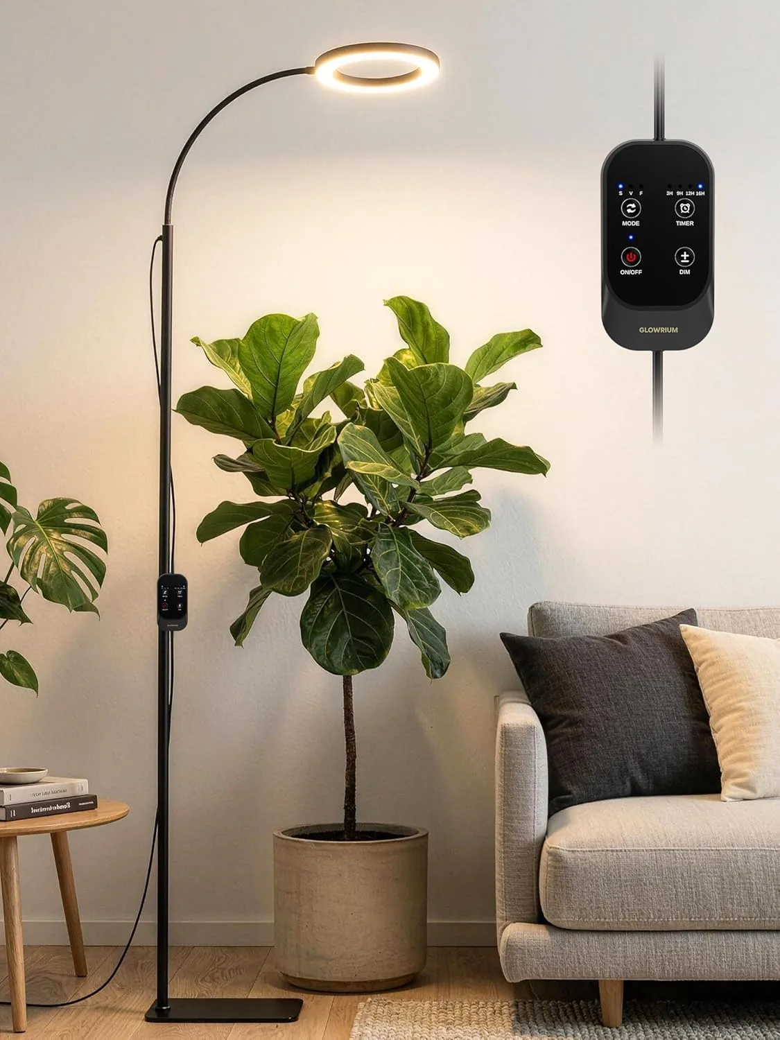 GLOWRIUM adjustable floor grow light for a large rubber plant indoors