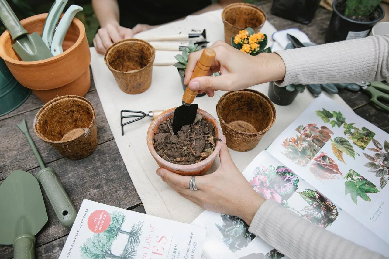 gift set for a plant lover with a book, scissors, seeds, and a pot