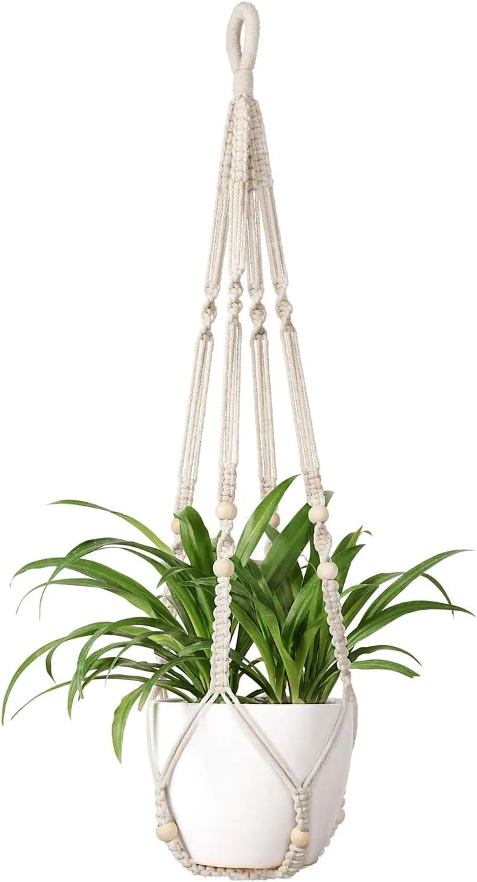 macrame hanging planter for a spider plant indoors