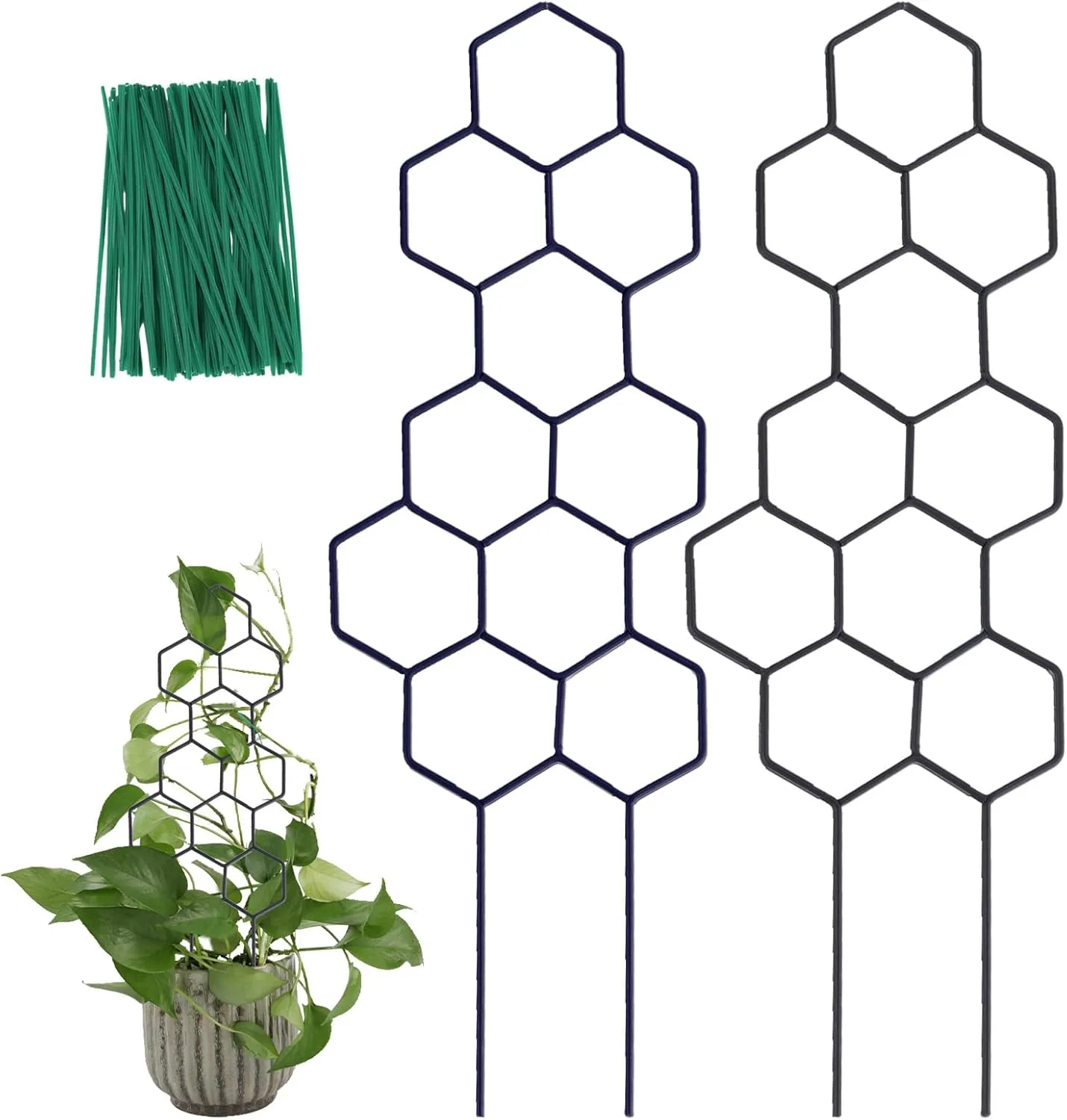 small metal trellis for hoya vines