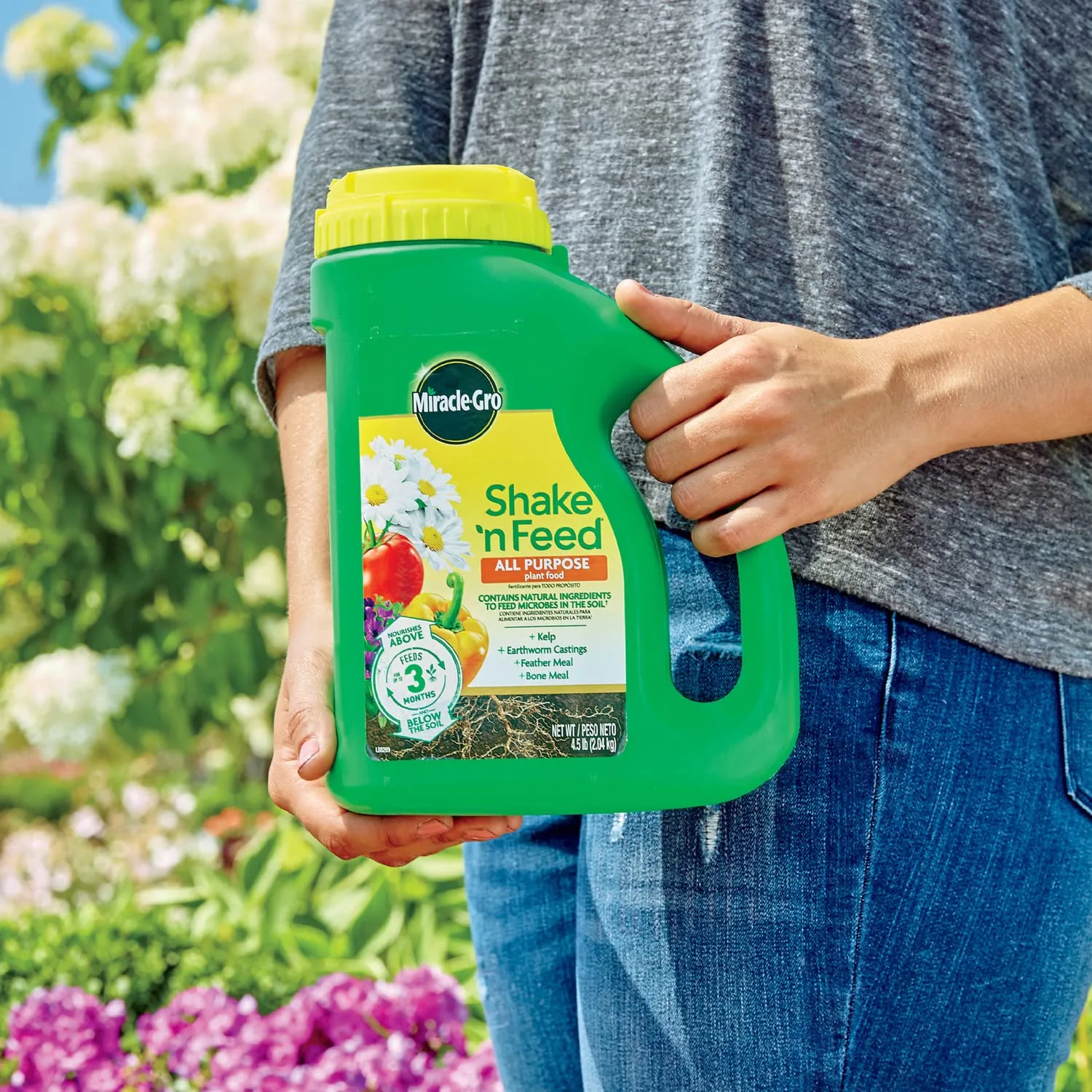Miracle-Gro Shake N Feed plant food for Osmanthus evergreen shrubs