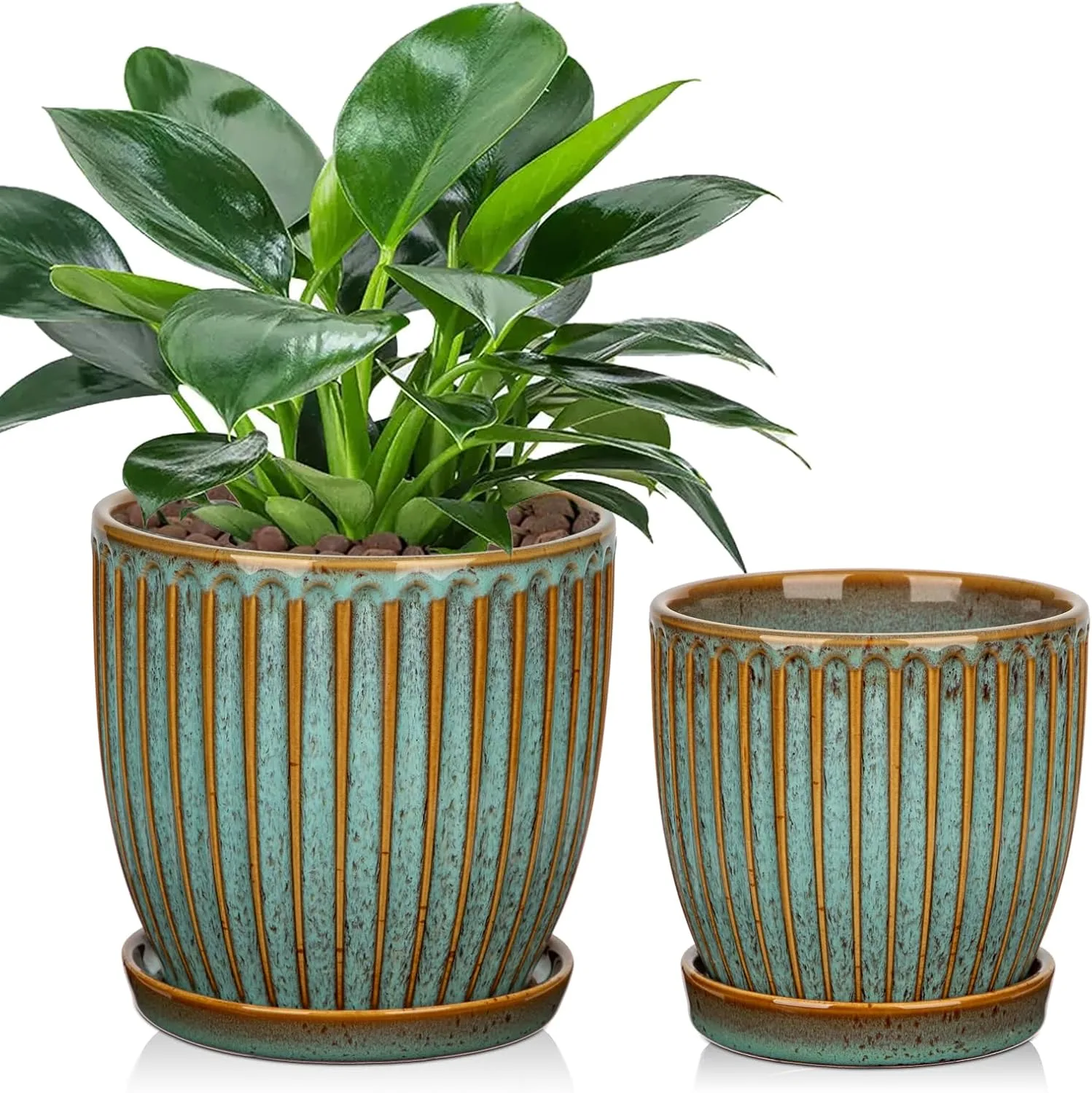 ceramic planter with drainage for a snake plant