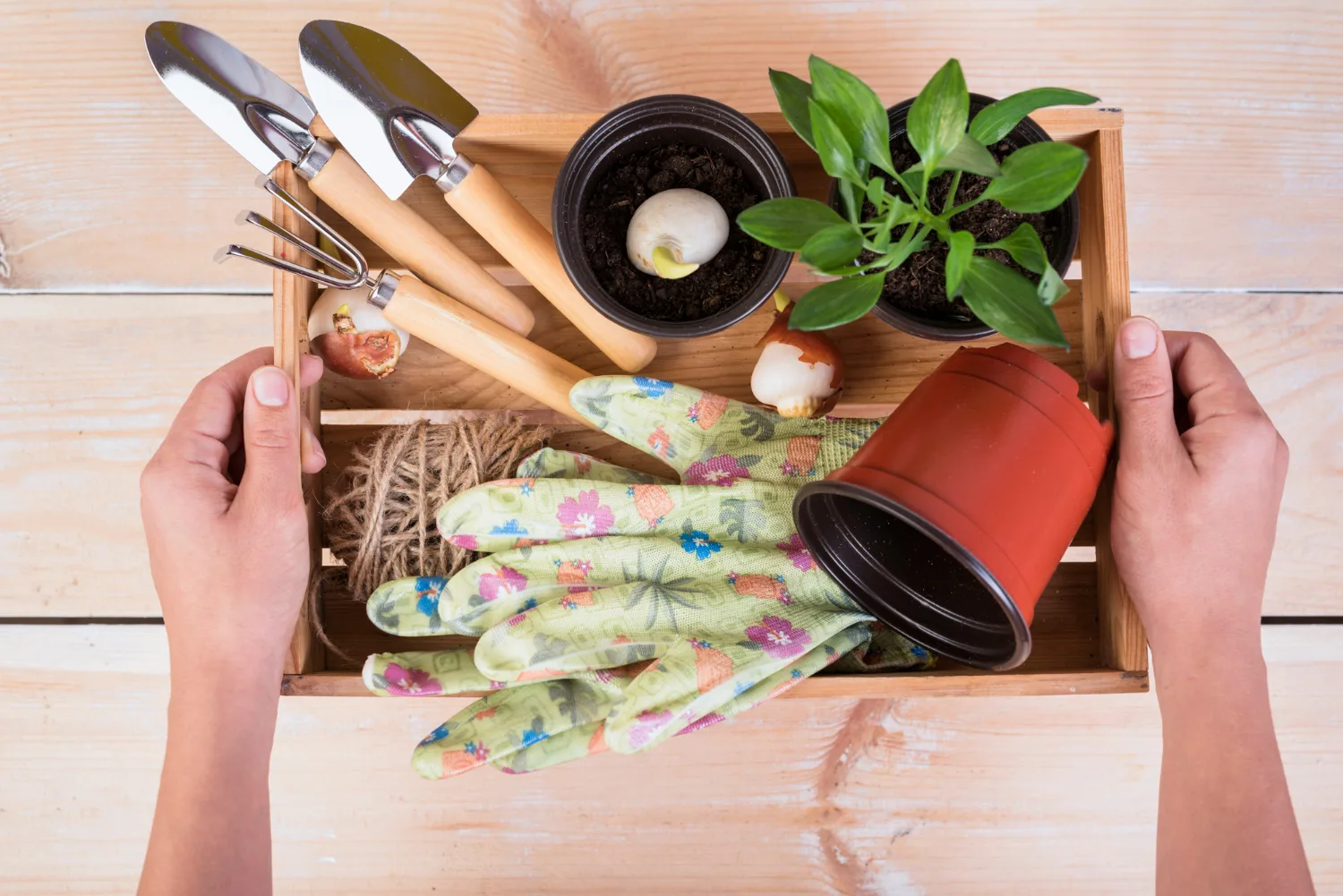 gifts for houseplant lovers including a pot, grow light, and small tools