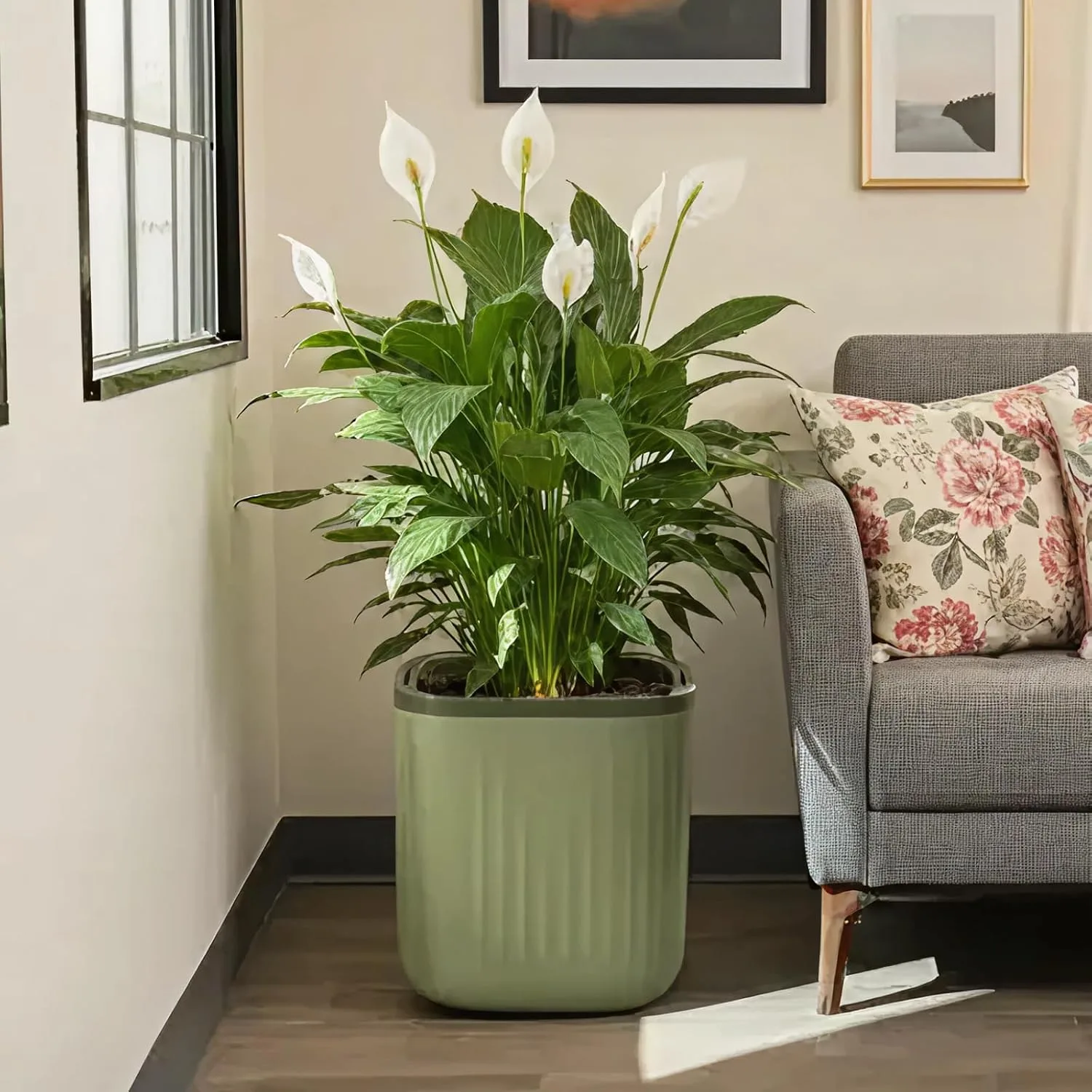 large self-watering planter for a mature peace lily