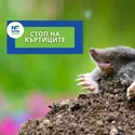 Афилиейт банер