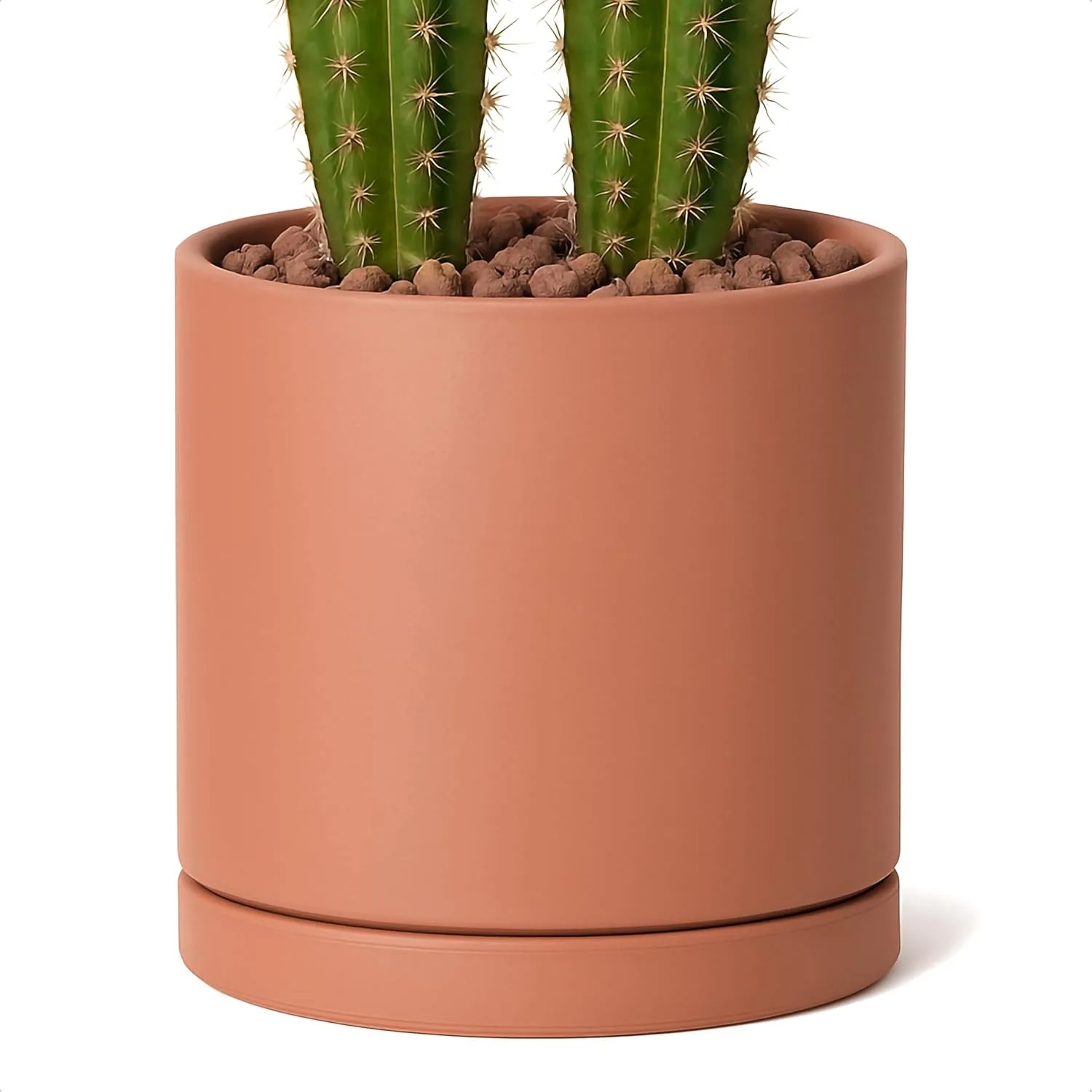 terracotta pot with drainage for aloe vera