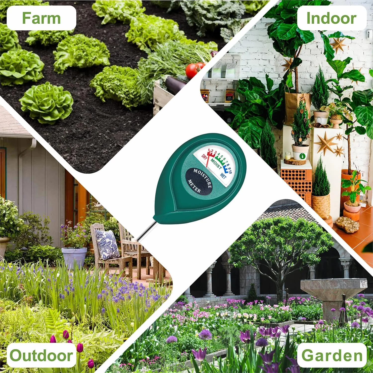 XLUX soil moisture meter for checking Thuja Smaragd watering