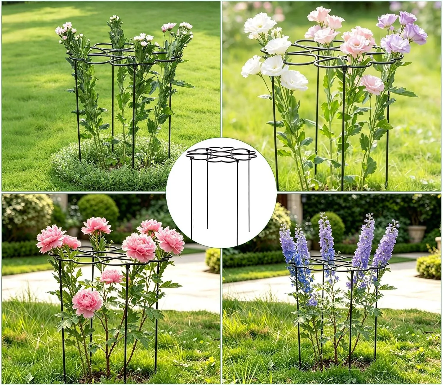 Metal plant support cages for tall flowering perennials in ornamental borders
