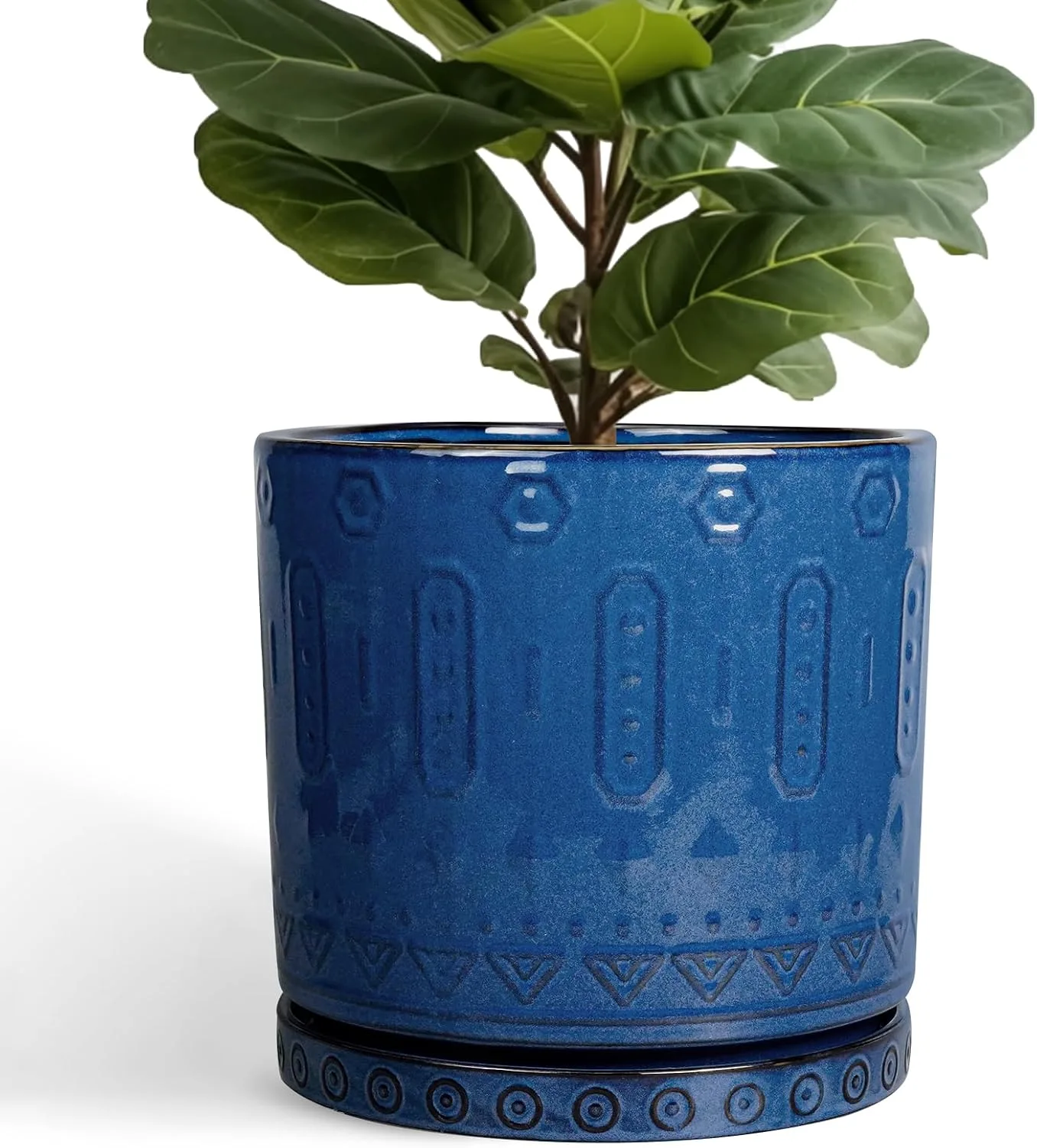 Blue glazed ceramic planter with saucer and green foliage plant